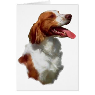 Cartão Presentes da arte do Spaniel de Brittany