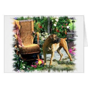 Cartão Presentes de Arte Boerboel