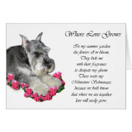 Cartão Presentes de Arte Miniatura Schnauzer