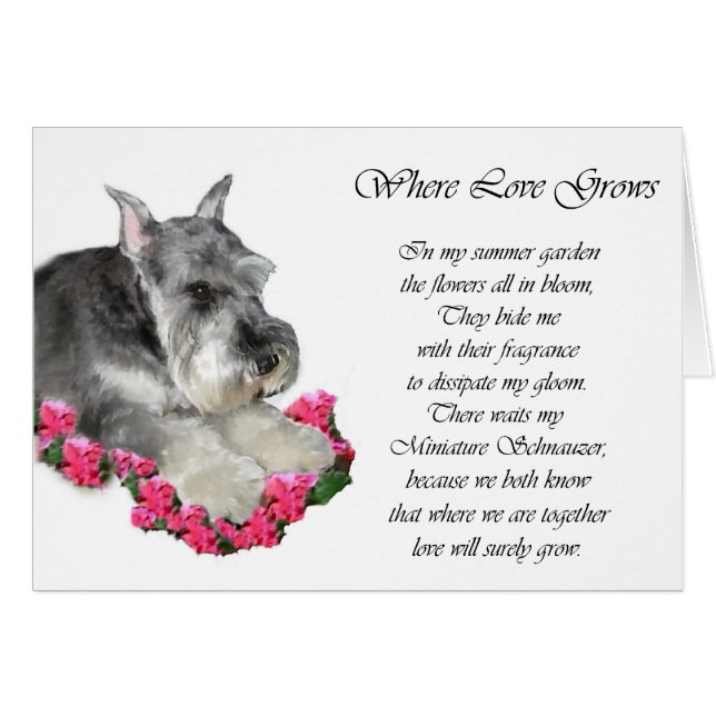 Cartão Presentes de Arte Miniatura Schnauzer (Frente Horizontal)