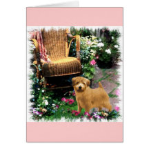 Presentes de Arte Norfolk Terrier
