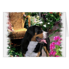 Cartão Presentes de Arte para Cachorros na Grande Suíça