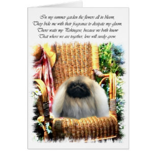 Cartão Presentes de Arte Pekingese