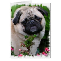 Presentes de Arte Pug