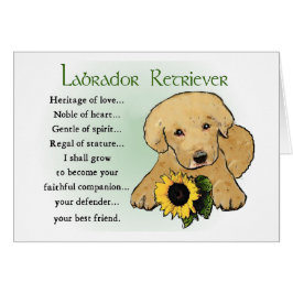 Cartão Presentes de Labrador Amarelo do Retriever