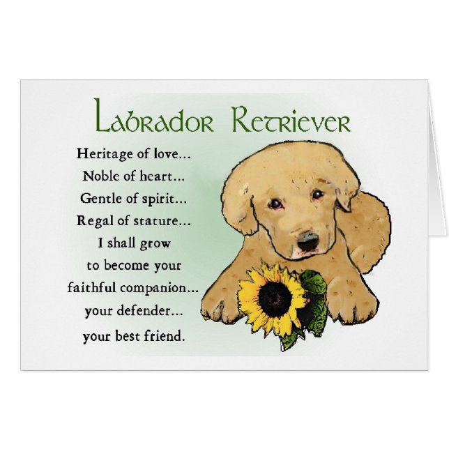 Cartão Presentes de Labrador Amarelo do Retriever (Frente Horizontal)