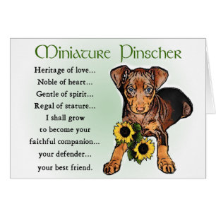Cartão Presentes de Miniatura Pinscher