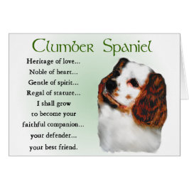 Cartão Presentes do Clumber Spaniel