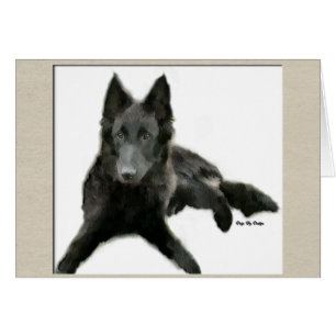 Cartão Presentes Groenendael Belgian Sheepdog
