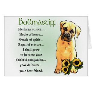Cartão Presentes para Amantes de Bullmastiff