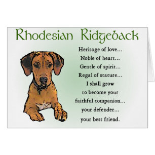 Cartão Presentes Ridgeback da Rodésia