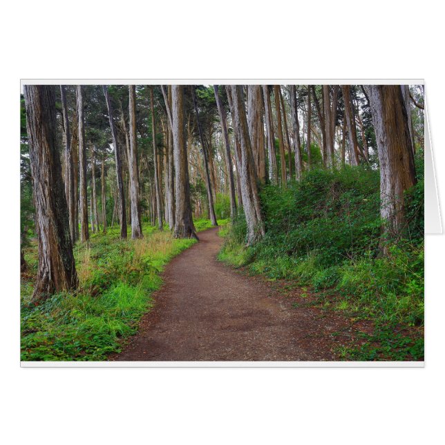 Cartão Presidio, SF (Frente Horizontal)