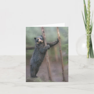 Cartão Pressione um botão - Bubu Notecard