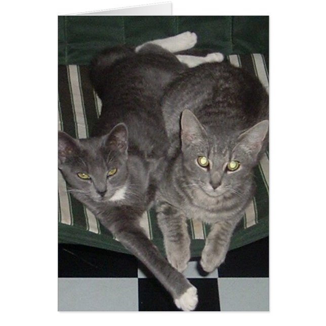 Cartão Preto, branco & cinza (Frente)