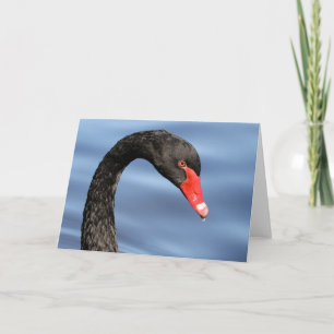 Cartão preto da beleza