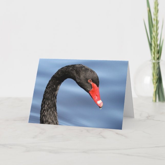 Cartão preto da beleza (Frente)