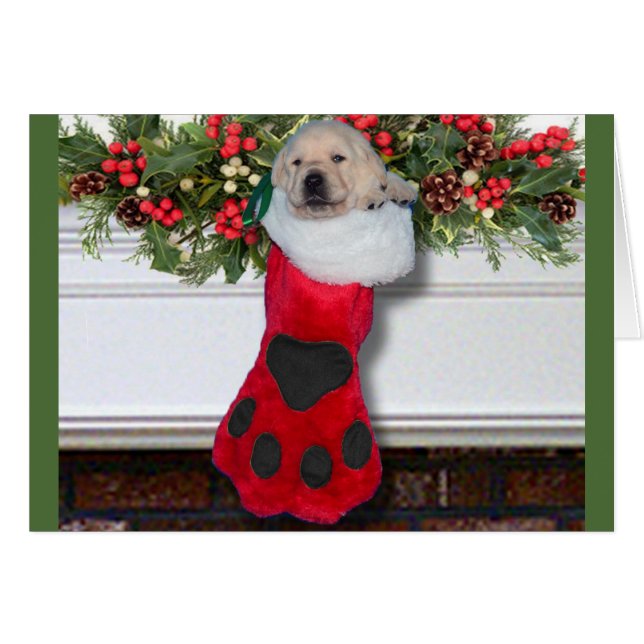 Cartão Preto da semana 3 da gratitude (Frente Horizontal)