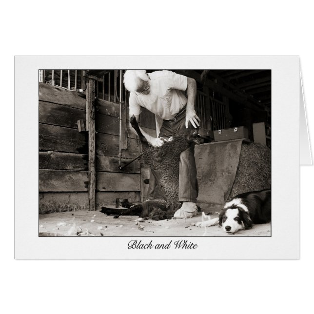 Cartão preto e branco (Frente Horizontal)