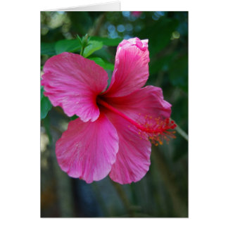 Cartão Preto Rosa Quente