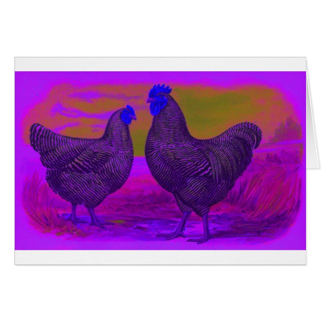 Cartão PretoLuz (Frente Horizontal)