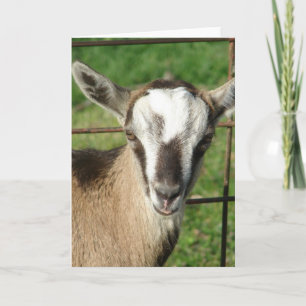 Cartão Pretty Billy Kid