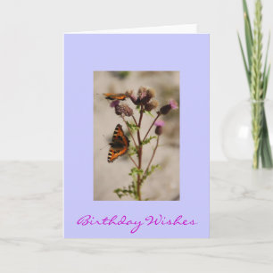 Cartão Pretty Butterfly Birthday Card