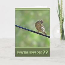 Pretty Cute for An Old Bird Birthday Card