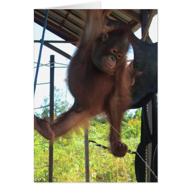 Cartão Primatas arrogantes (Frente)