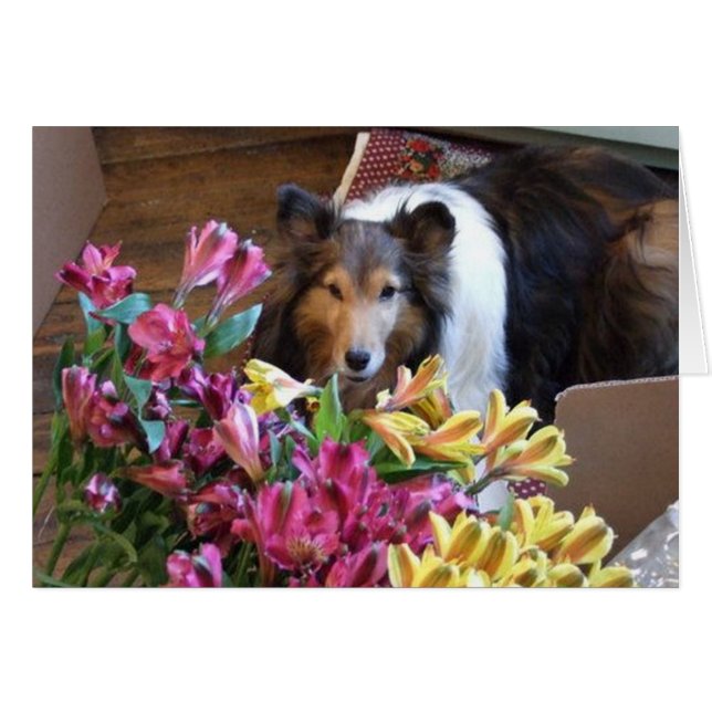 Cartão Primavera (Frente Horizontal)