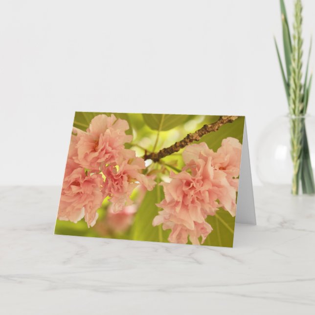 Cartão Primavera (Frente)