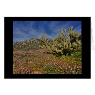 Cartão Primavera alto do deserto
