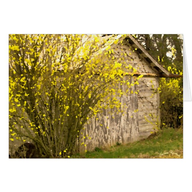 Cartão Primavera Appalachian (Frente Horizontal)