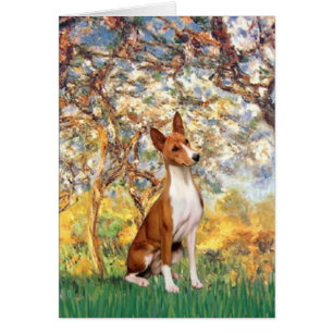 Cartão Primavera - Basenji