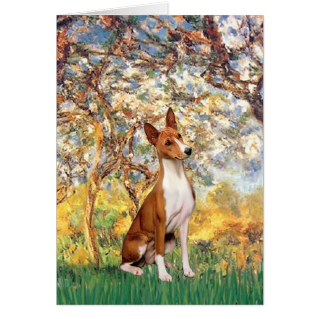 Cartão Primavera - Basenji (Frente)