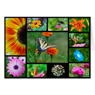 Cartão Primavera Beauty