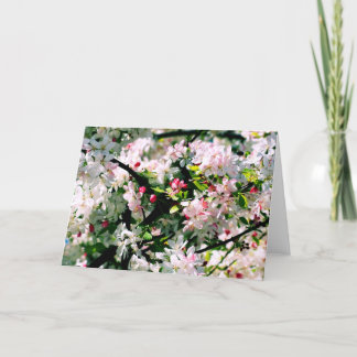 Cartão Primavera Blossomo