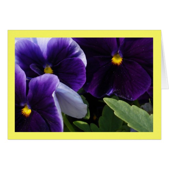 Cartão Primavera Blossomo I (Frente horizontal)