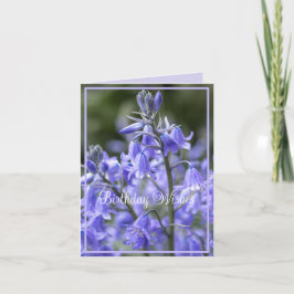 Cartão Primavera Bluebells após o aniversário da chuva