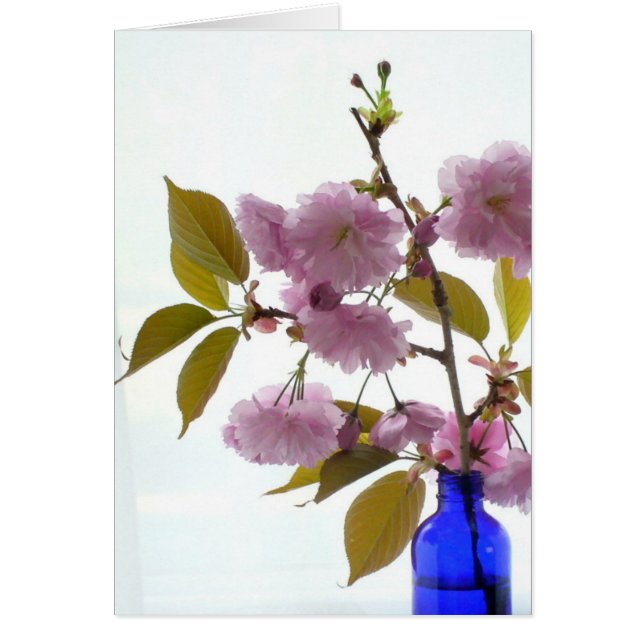Cartão primavera cereja (Frente)