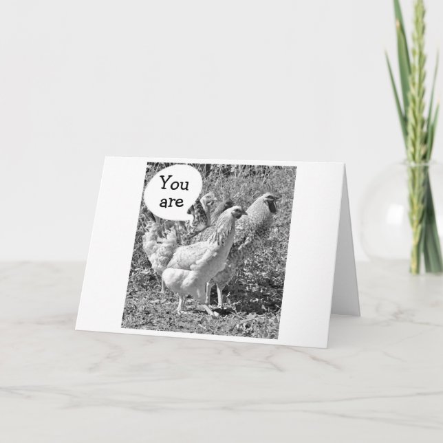 CARTÃO PRIMAVERA CHICKEN ATÉ AOS ANIVERSÁRIOS DE "40" (Frente)