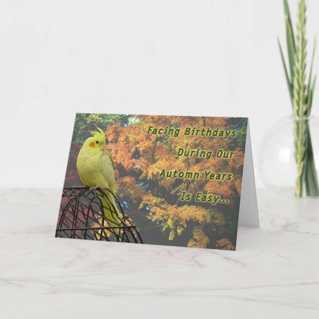 Cartão Primavera Chickens (Frente)