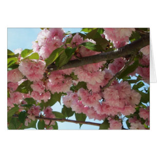 Cartão Primavera cor-de-rosa de florescência dobro da