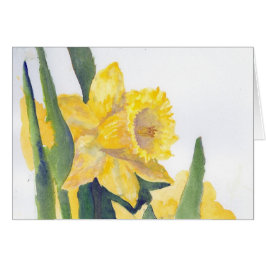 Cartão Primavera Daffodils