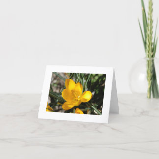 Cartão Primavera de boas-vindas