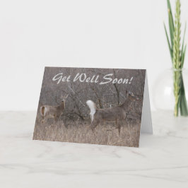 Cartão Primavera de cera de cauda branca em Cottonwoods