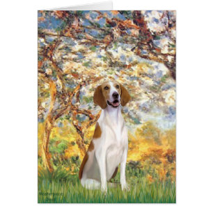 Cartão Primavera- Foxhound americano