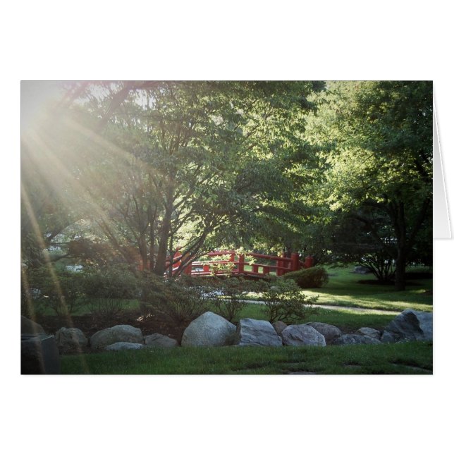 Cartão Primavera Garden (Frente Horizontal)