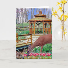 Cartão Primavera Gazebo Deer & Fawn