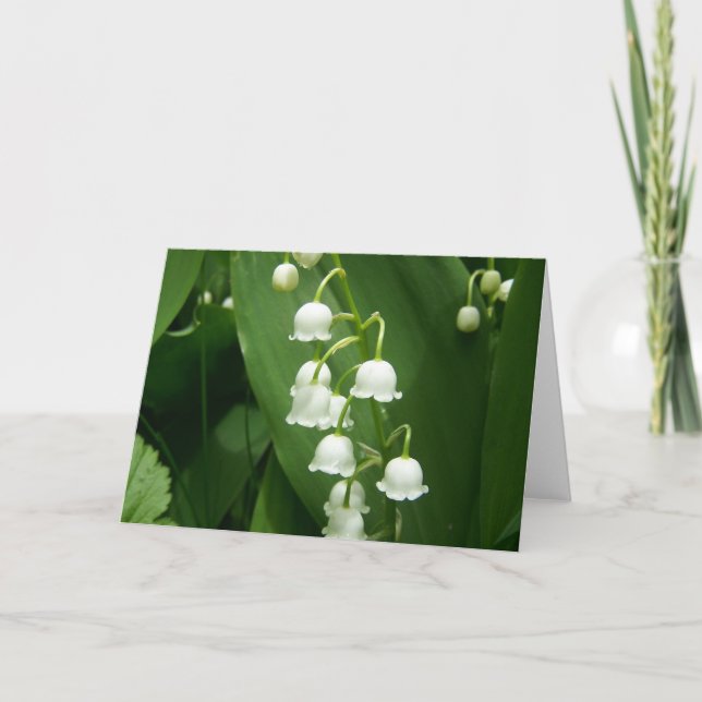 Cartão Primavera in Maine (Frente)