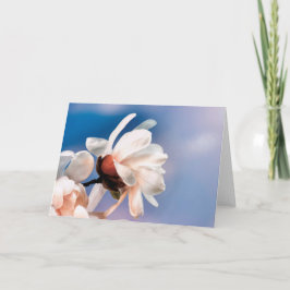 Cartão Primavera magnólia floresce